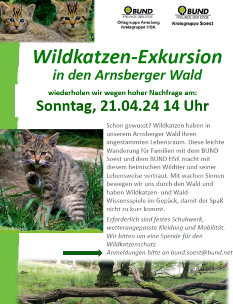 BUND Soest und HSK Wildkatzenexkursion